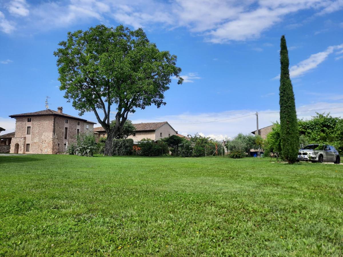 Corte Davini Agriturismo Monzambano Zewnętrze zdjęcie