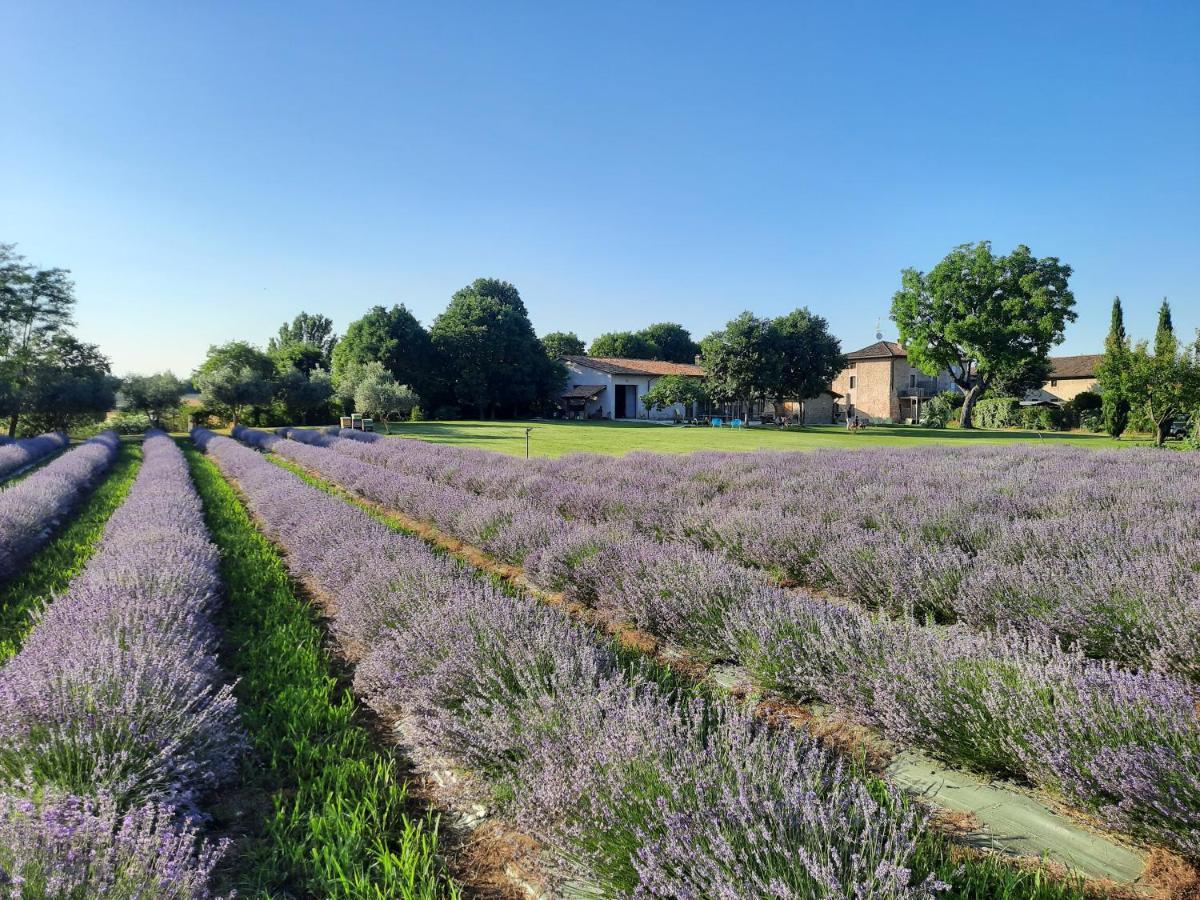 Corte Davini Agriturismo Monzambano Zewnętrze zdjęcie