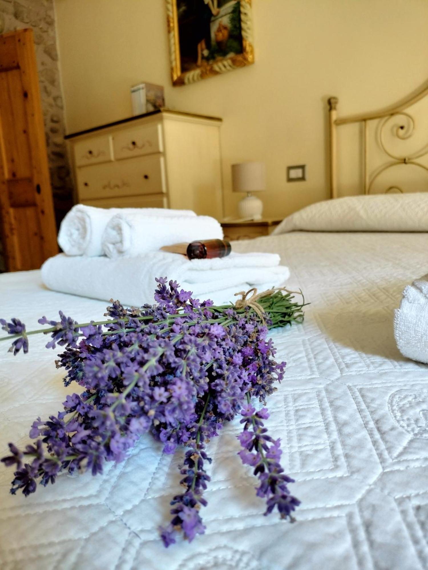 Corte Davini Agriturismo Monzambano Zewnętrze zdjęcie