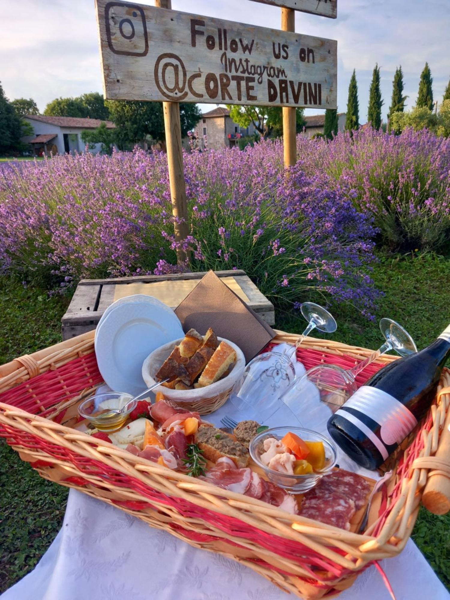Corte Davini Agriturismo Monzambano Zewnętrze zdjęcie